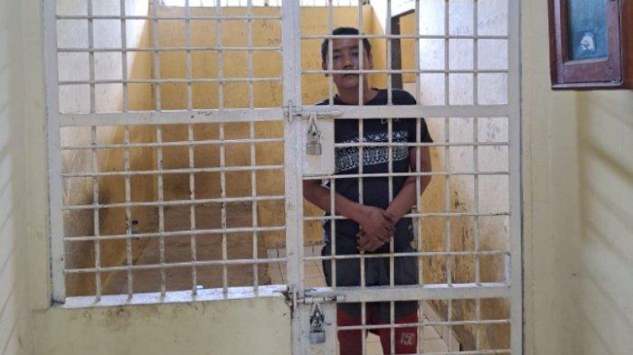 Hanya Gara-gara Orgen Tunggal, Warga Lahat Harus Kehilangan Nyawa